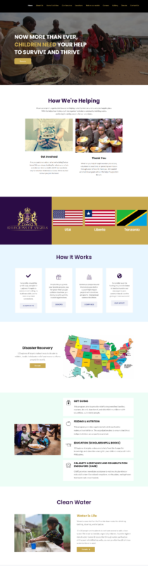 NGO Website Example
