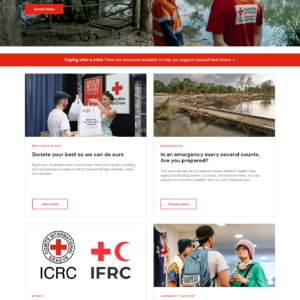 NGO Website Example